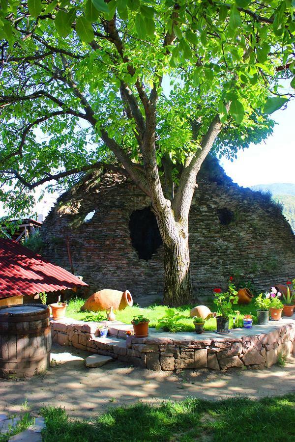 Hotel Beni Akhaltsikhe  Exterior foto